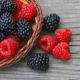 strengthening-the-sustainability-of-rubus-berry-production